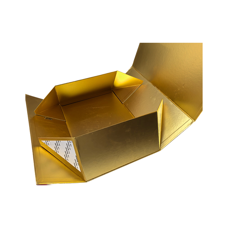 Folding Box, Sample Book